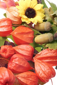 herfstbloemen en decoratie