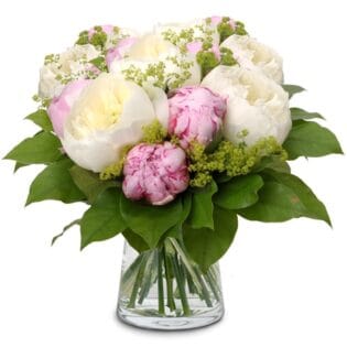 Witte en roze pioenen