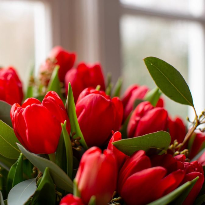 rode tulpen in het raam 1