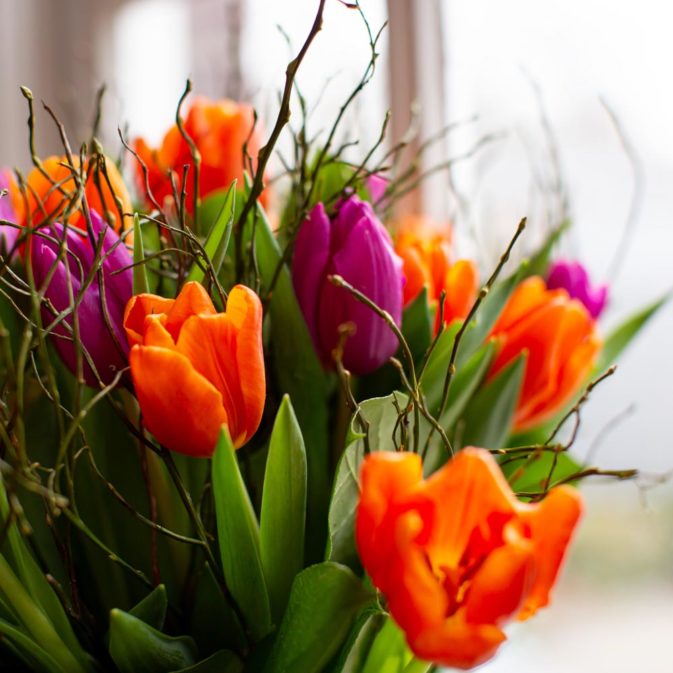 oranje met paarse tulpen closeup vier de lente. bloemen bezorgen