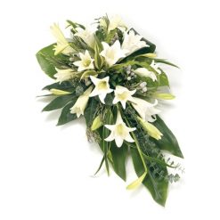goedkoop bloemen bezorgen den haag goedkoop bloemen bezorgen den haag