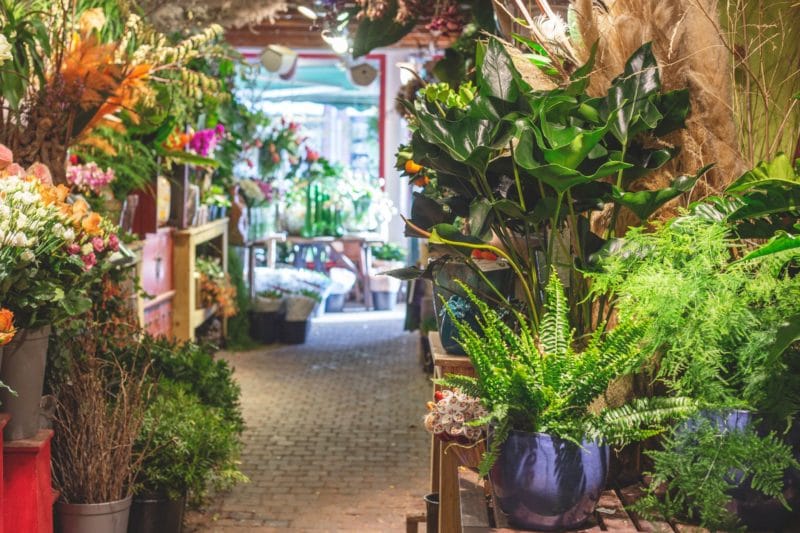 bloemen bezorgen den haag winkel