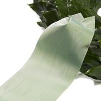 mourning ribbon green 4 1 1.jpg