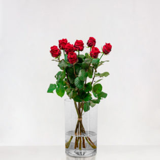 Long Red Roses