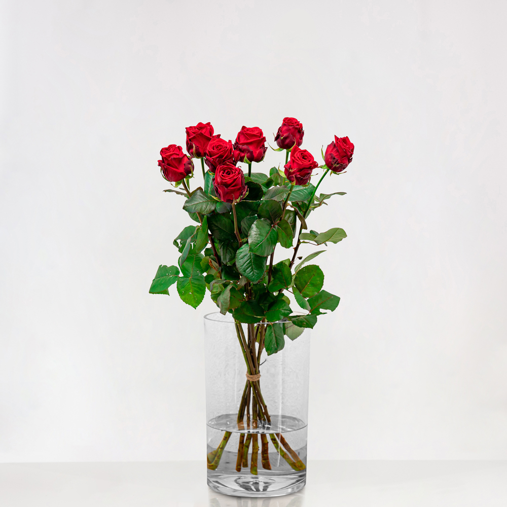grond van omvatten Lange rode rozen | Bloemen Bezorgen Den Haag