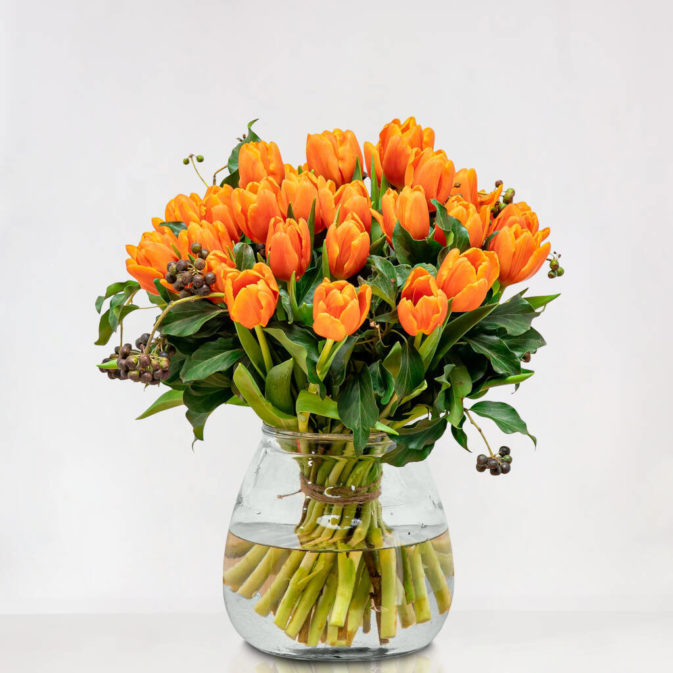 Tulpen Oranje