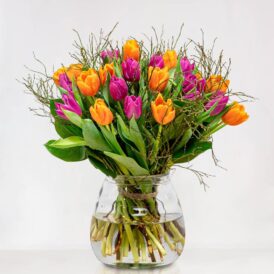 Vrolijke Tulpen