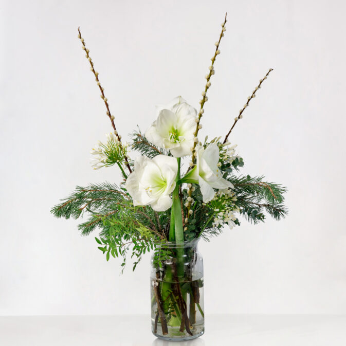 Amaryllis Bouquet White